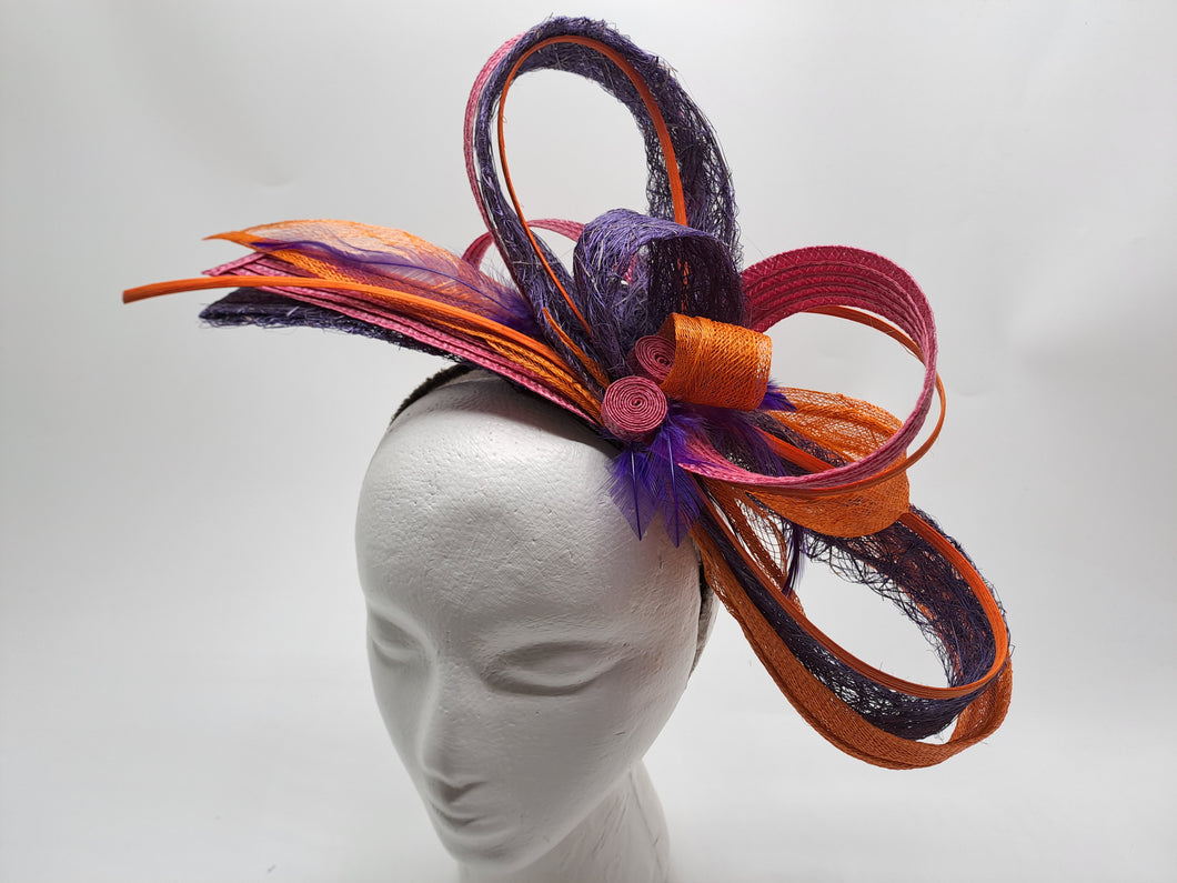 Facinator multicolore