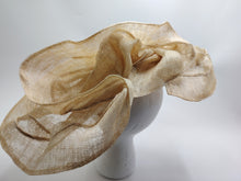 Charger l'image dans la galerie, Facinator
